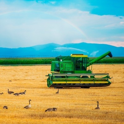 Adyuvantes Agrícolas